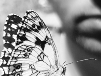 SpaceNet Award drittplatziertes Foto - schwarz/weiß Bild Schmetterling auf dem Finger